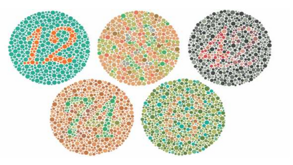 Ishihara 24 Plate Color Test